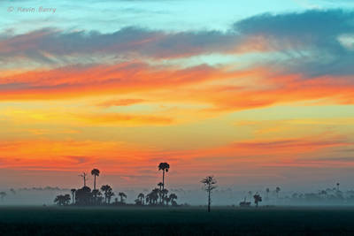 Big Cypress National Preserve at dawn