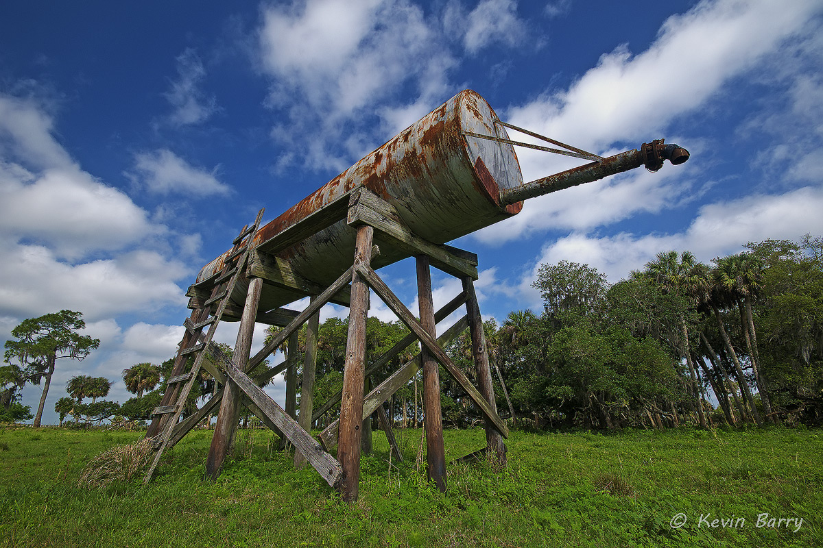 Water Tank, Dinner Island Ranch Wildlife Management Area, Florida, man-made, horizontal, cows, cattle, cloudy, green grass, south...