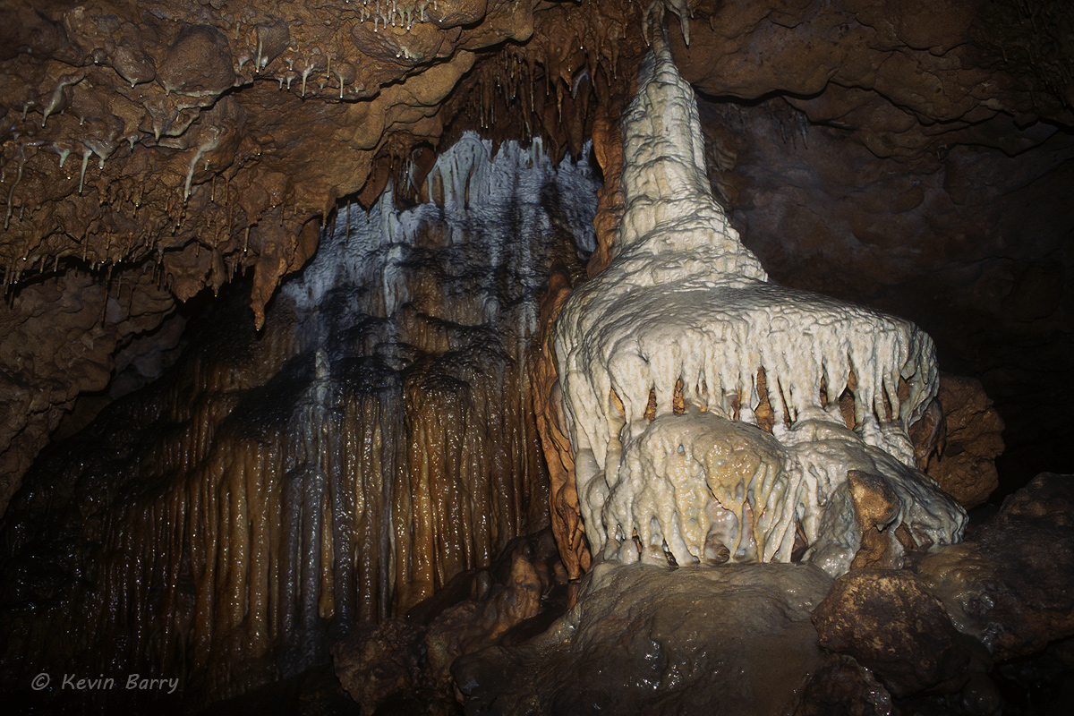 Florida Caverns is the only Florida state park with air-filled caves accessible to the public. The limestone caves in the park...