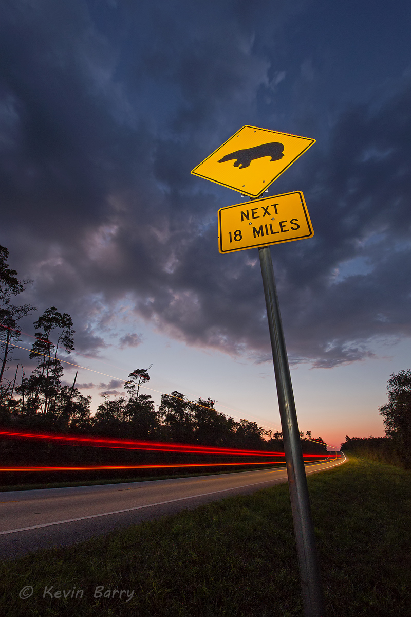 A roadside sign alerts drivers to watch for the American black bear (Ursus americanus), which is often seen in the area.